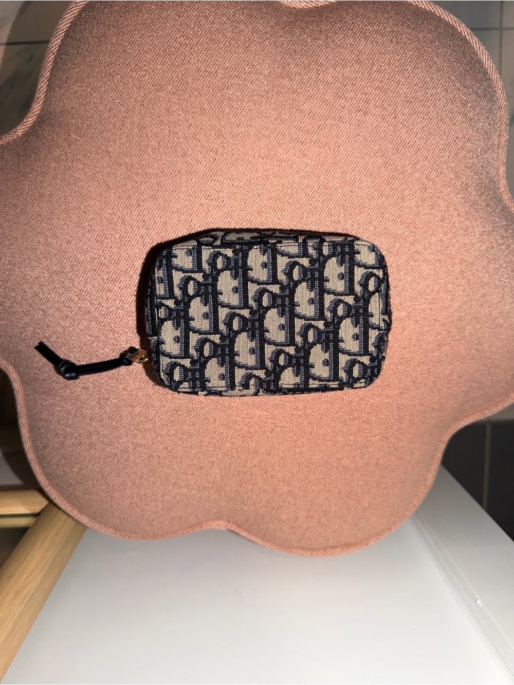 Dior Blue and Beige Monogram Zip Pouch - Picture 1 of 7